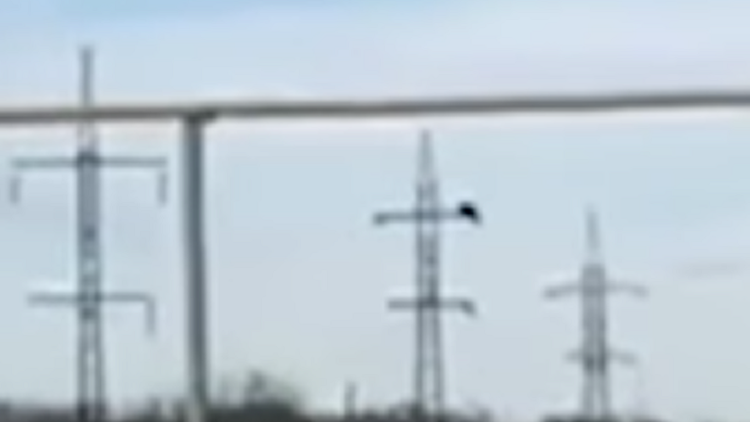 "¡Mira lo que puedo hacer!": Un adolescente se sube a una torre eléctrica y muere electrocutado
