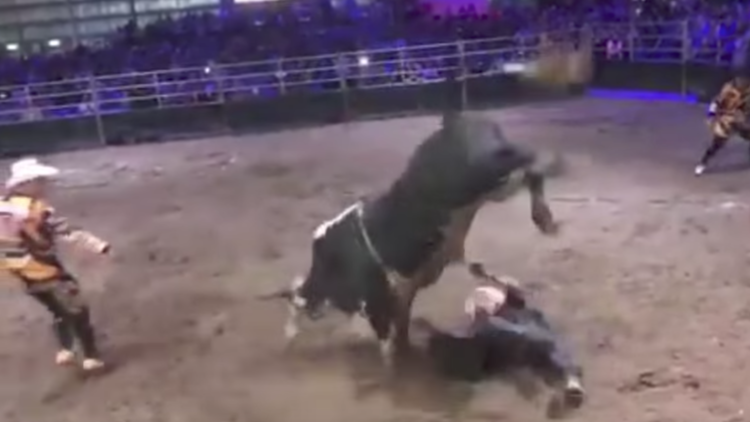 Video fuerte: Un toro pisotea violentamente a un jinete durante un torneo de rodeo