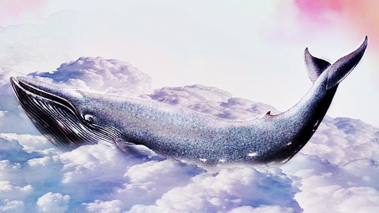 El virus de 'La ballena azul': cómo el juego suicida se propaga por el mundo