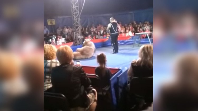 El pavoroso instante en que un oso ataca al público en un circo