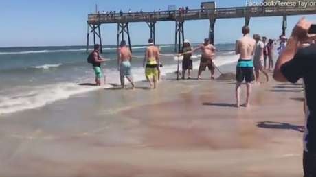 Disputa entre un pescador y defensores de los animales
