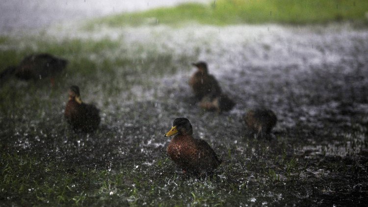 La NASA advierte: El futuro de la Tierra podría ser más lluvioso de lo esperado