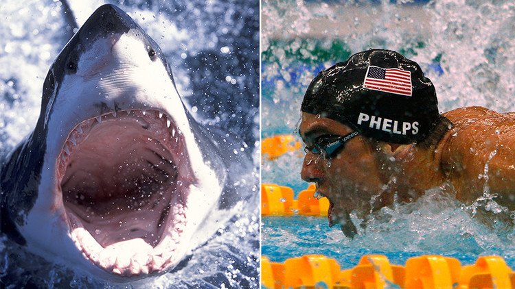 ¡Duelo entre 'tiburones'!: Michael Phelps competirá contra un escualo
