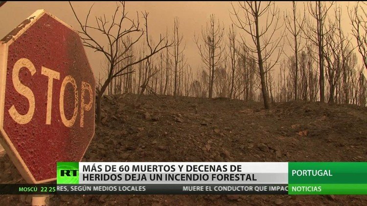 Un incendio forestal en Portugal deja más de 60 muertos y decenas de ...
