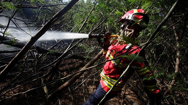 "Una noche y un día luchando": La foto viral de los bomberos portugueses que conmueve a la Red