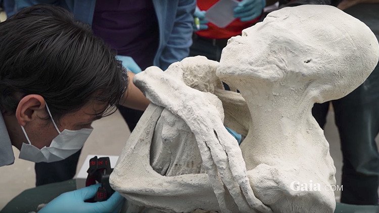 Hallan en Perú la momia de un ser "no humano" (VIDEO)