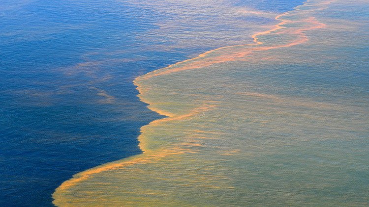 ¿Qué son esas "zonas muertas" que amenazan la vida en el Golfo de México?