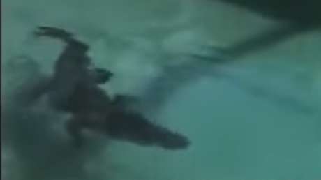 Iban a disfrutar de su piscina pero un terrorífico hallazgo los obligó a llamar a la Policía