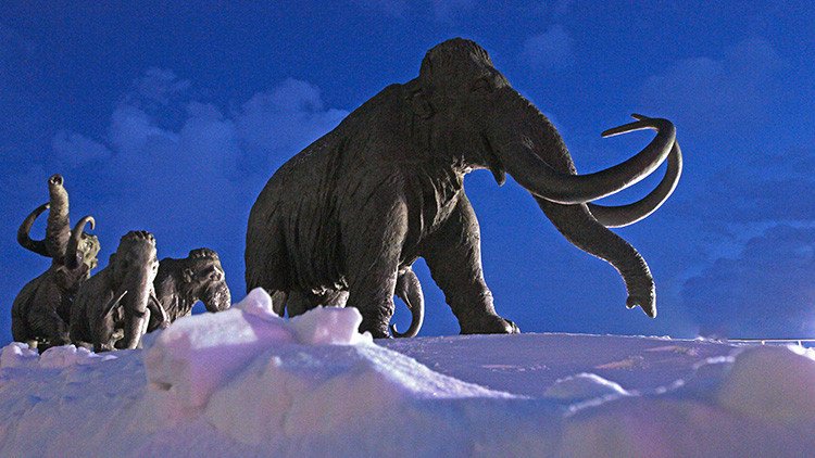 ¿Vuelve la Edad de Hielo?: Uno de los fundadores de PayPal invierte dinero para revivir un mamut