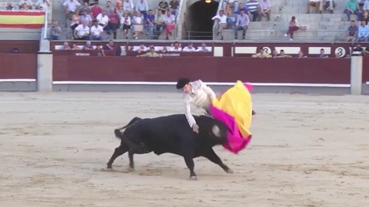 FUERTE VIDEO: Un toro furioso cornea a un torero en el escroto y hiere de gravedad a otro