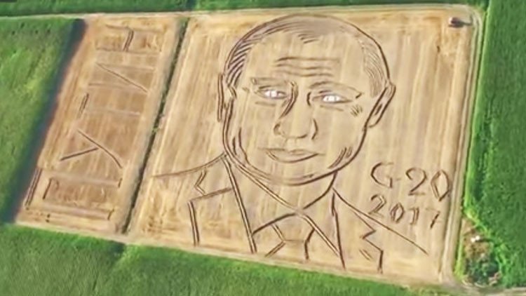 Un agricultor italiano explica por qué retrató a Putin en un campo de trigo (VIDEO) 