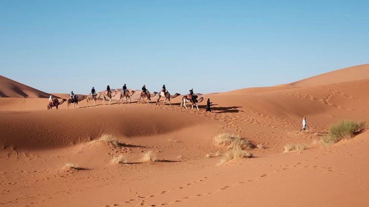 El Sahel podría ser verde dentro de un siglo