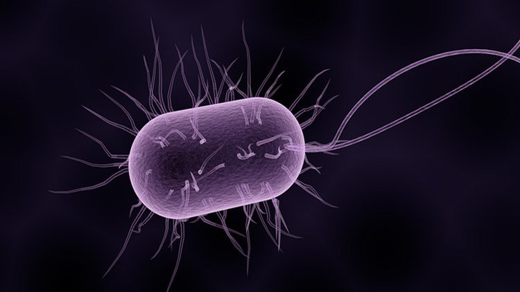 "Especialmente inteligente": advierten sobre la propagación inminente de la superbacteria gonorrea