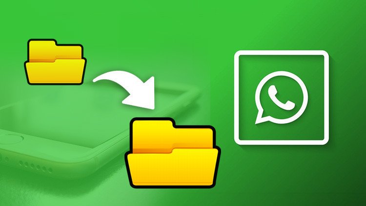 La esperada nueva función de WhatsApp le permitirá enviar cualquier tipo de archivos
