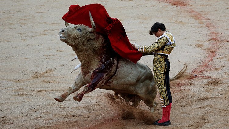 España: Aprueban una ley que prohíbe el sufrimiento físico y psíquico del toro en las corridas 