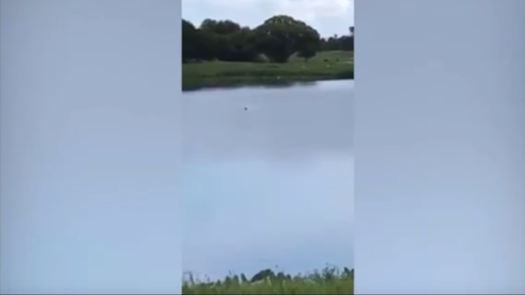 FUERTE VIDEO: Adolescentes se ríen mientras un discapacitado se ahoga en un estanque en EE.UU.