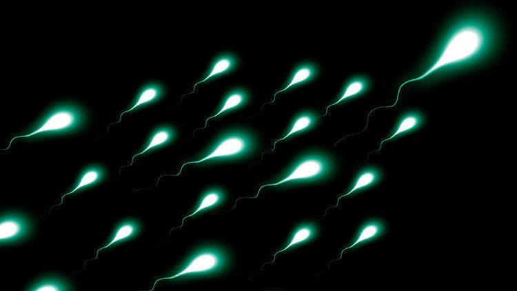 La mala calidad del esperma de los occidentales "puede llevar a la extinción de la especie humana"