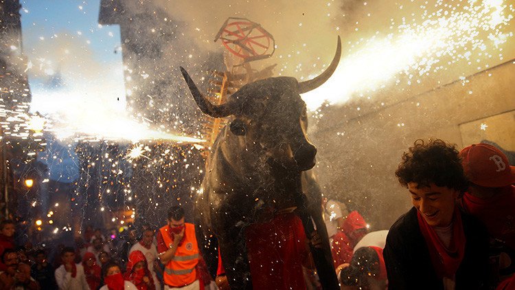 FUERTES IMÁGENES: Un toro muere al impactar contra el pilón en España