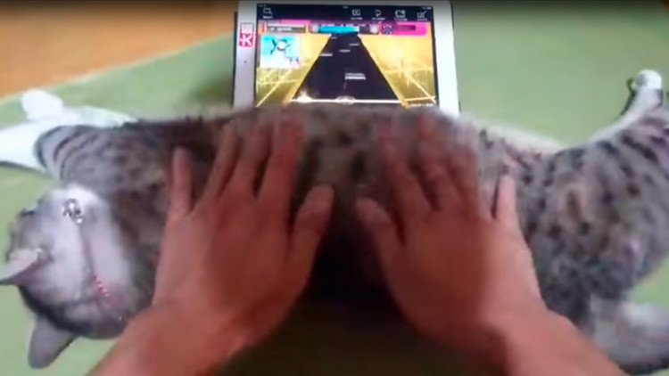 ¿Un gato 'joystick'? Un japonés 'se inventa' un truco para un videojuego