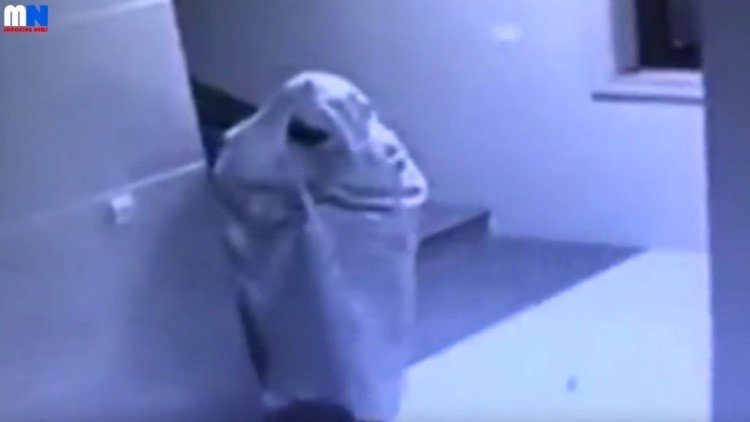 Un ladrón se disfraza de 'fantasma' para robar una casa