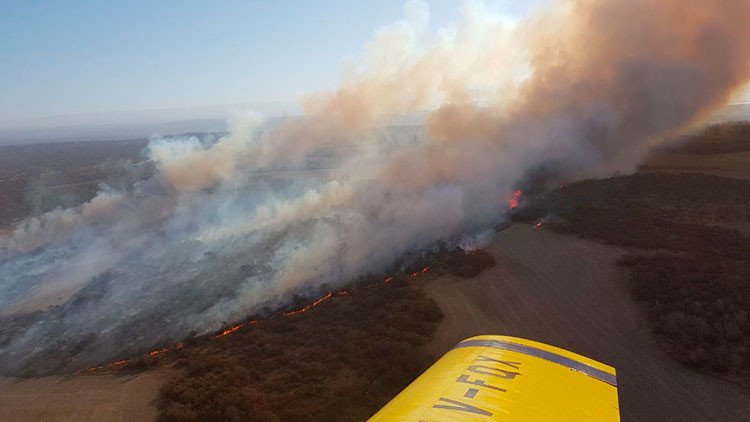 Un argentino trata de hacer un asado y quema 100 hectáreas de pastizales (FOTOS)