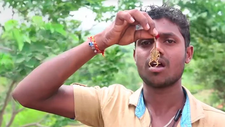 VIDEO: Fieles hindúes se ponen alacranes en la cara durante un festival religioso