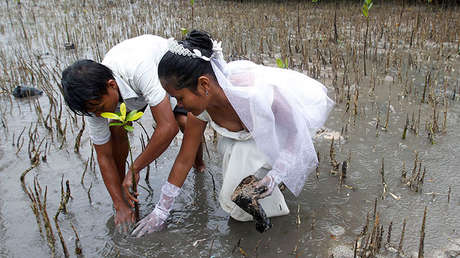 Cómo divorciarse en este país donde la ley no lo permite