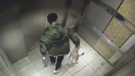 FUERTES IMÁGENES: Un joven maltrata cruelmente a su perrito en el ascensor