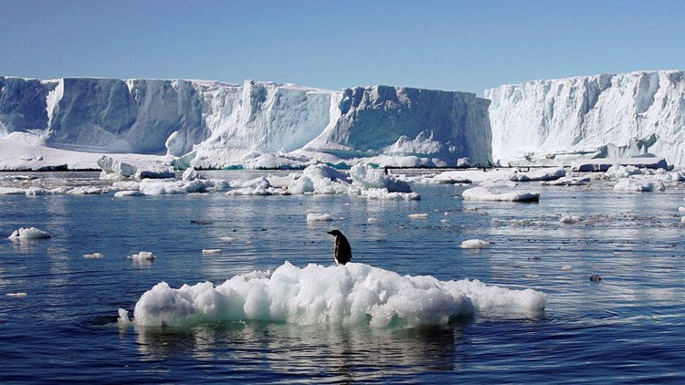 Importante hallazgo: Descubren en la Antártida unas bacterias 'anti efecto invernadero'