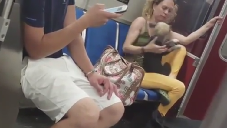 Indignación en el metro: Lo que le hace esta mujer a su perro no tiene nombre