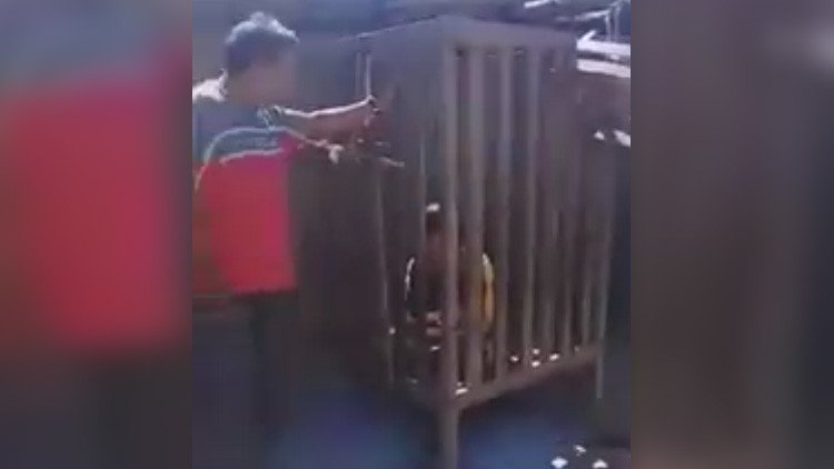 Unos padres encierran a su hijo discapacitado en una jaula durante cuatro años en Argentina (VIDEO)