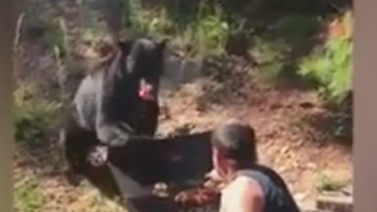 Dos hombres se enfrentan a un oso que les intenta robar su barbacoa