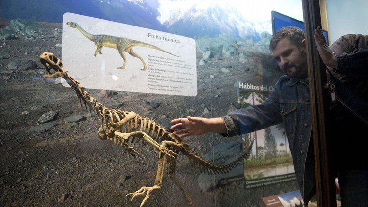 Descubren en el 'dinosaurio Frankenstein' de Chile un eslabón perdido de la evolución