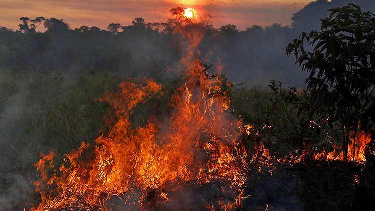 Así combaten la deforestación imparable que amenaza la Amazonia