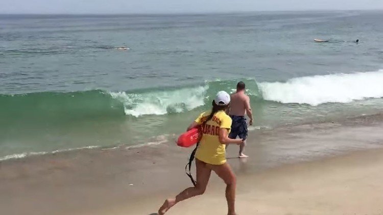 Dos surfistas escapan del ataque de un tiburón