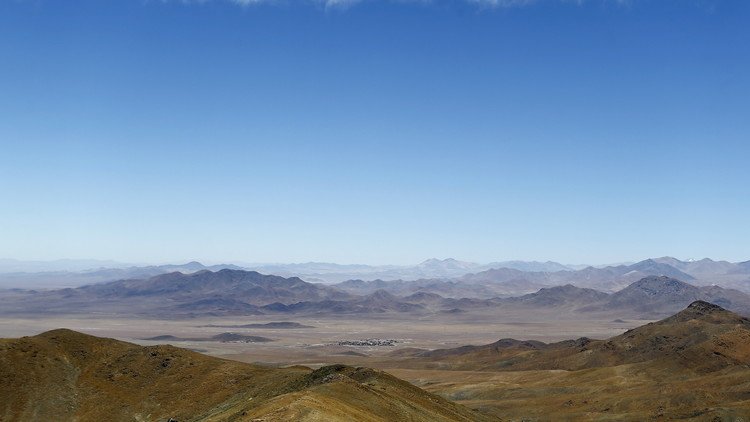 Jardín florido: Así florece Atacama, el desierto más árido del mundo (FOTOS)