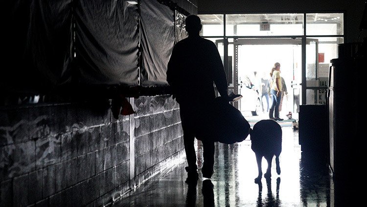 FOTO: Un ingenioso perro camina con una bolsa de comida luego del paso del huracán Harvey