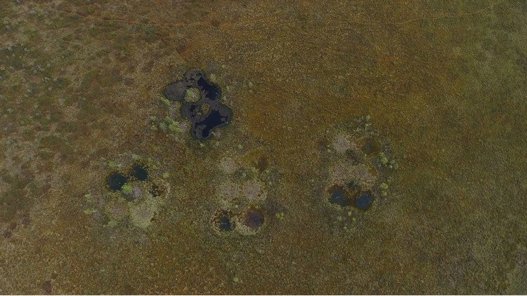 Detectan unos extraños cráteres en un área remota de la taiga rusa