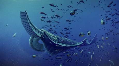 Descubren el misterio de la aparición de los primeros animales de la Tierra