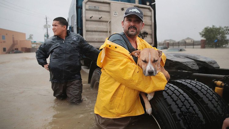 Un perro que estuvo a punto de ser sacrificado ayuda a rescatar a víctimas del Harvey (FOTO)
