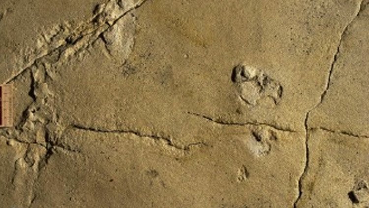 El descubrimiento de unas huellas fosilizadas desafía la teoría sobre la evolución humana