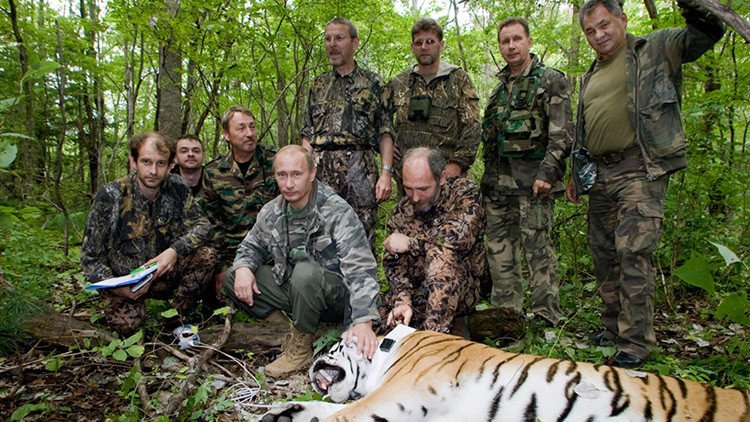 Presidente de Corea del Sur: Putin tiene "espíritu de tigre siberiano"