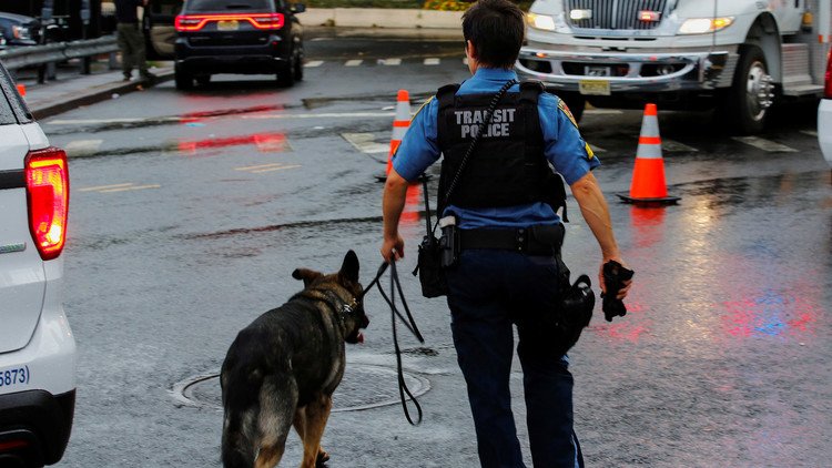 "Juntos contra Irma": Conmovedora foto de un oficial con un perro policía