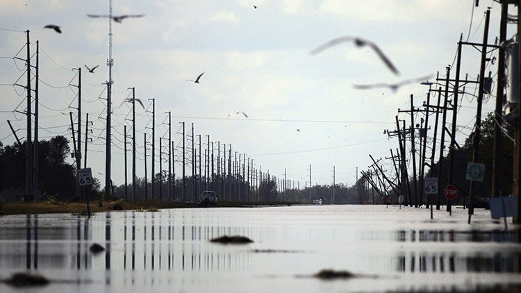 ¿Por qué las aves vuelan justo al ojo del huracán Irma?