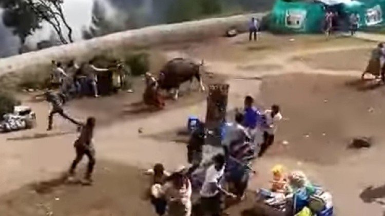 Un enorme bisonte irrumpe violentamente en un pueblo turístico 