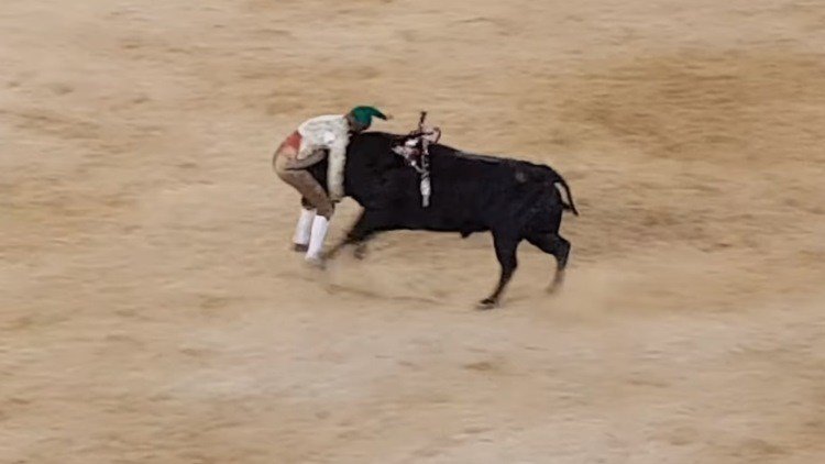 Un joven torero portugués muere por una cornada fatal (18+)