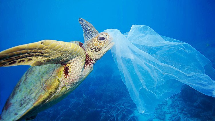 Chile será el primer país de América en prohibir las bolsas de plástico en zonas costeras