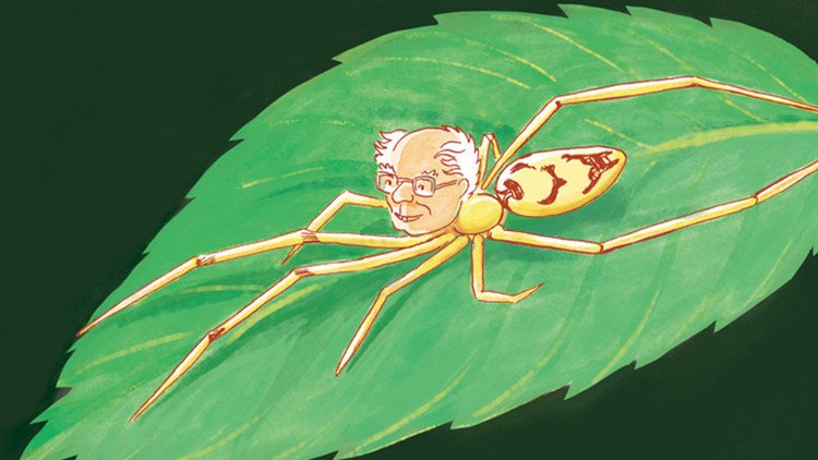 Bautizan a nuevas especies de arañas "sonrientes" con los nombres de Bernie Sanders y Obama (FOTOS)