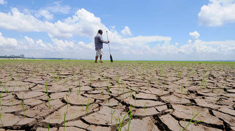 "Es real, somos nosotros, es serio": El mensaje viral de una científica sobre el cambio climático