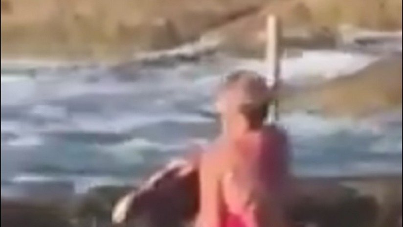 Una mujer saca a un tiburón de una piscina natural por un inesperado motivo
